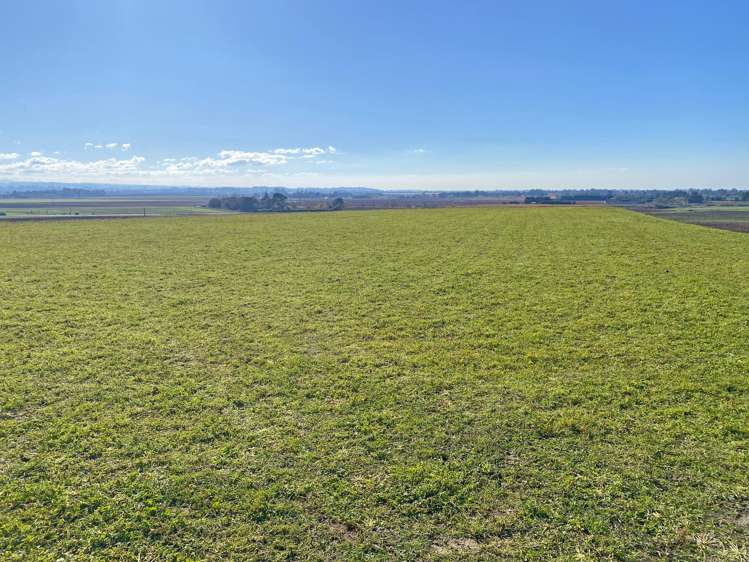 1.7ha Section - Maraekakaho Road Raukawa_2