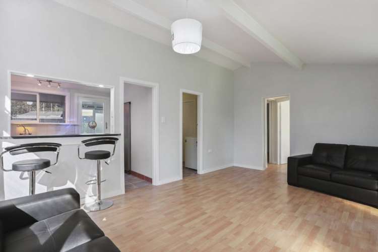 1/4 Mill Road Leithfield_9