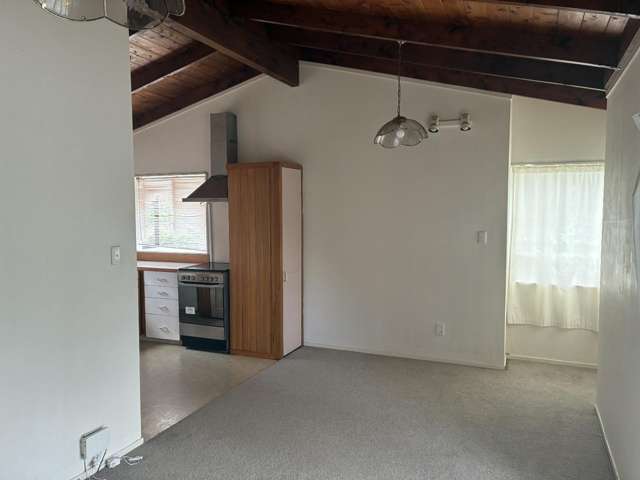 23A McLeod Rd 11401_1