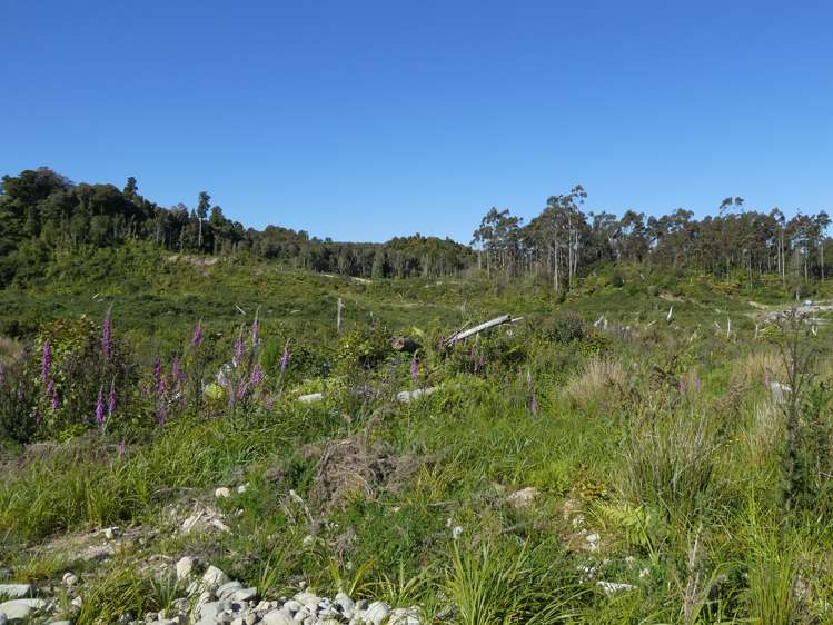 756a Rutherglen Road Marsden_10