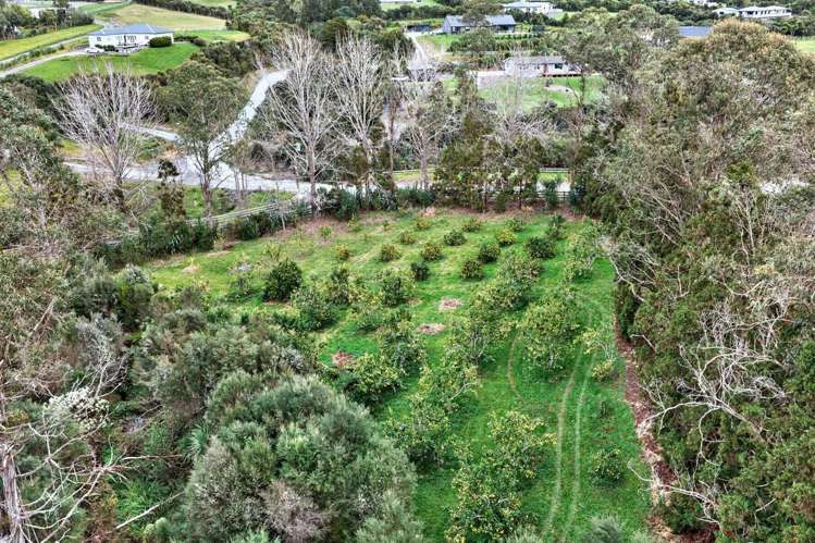 Lot 1/69a Vineyard Lane Mangawhai_24