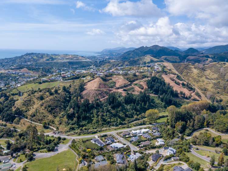 184 Panorama Drive Enner Glynn_14