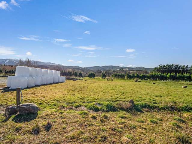 87 Sladdens Bush Road Coopers Creek_3