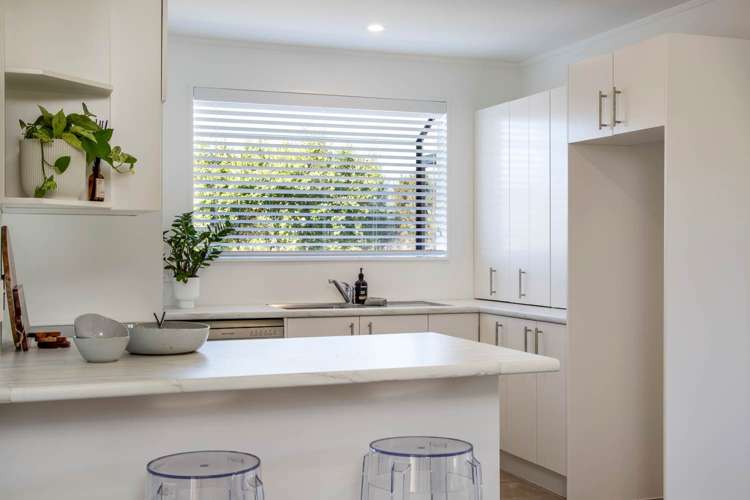 58 Tony Segedin Drive Avondale_7