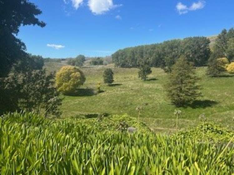 207 Rotowai Road Omakere_6