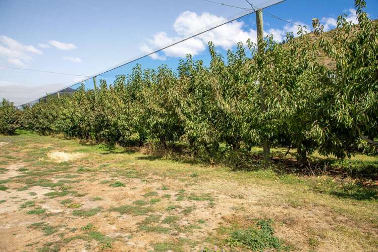244A Ripponvale Road Cromwell_21