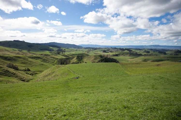 1400 Buckland Road Karapiro_2