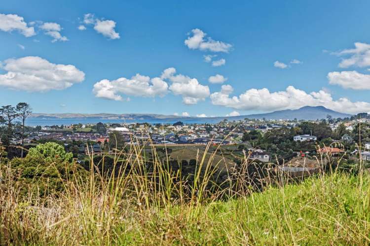 251 Lonely Track Road Albany Heights_9