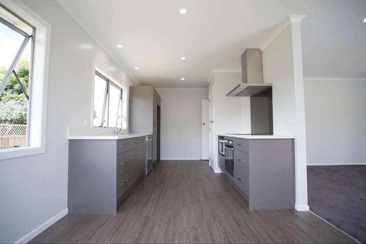 161 Pollard Drive Te Awamutu_3