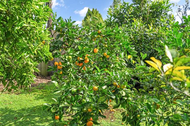 38 Hone Heke Road Kerikeri_17