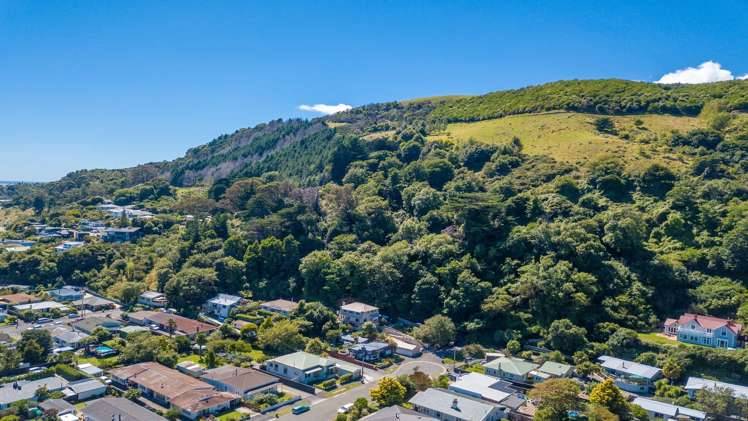 101 Cambria Street The Wood_1