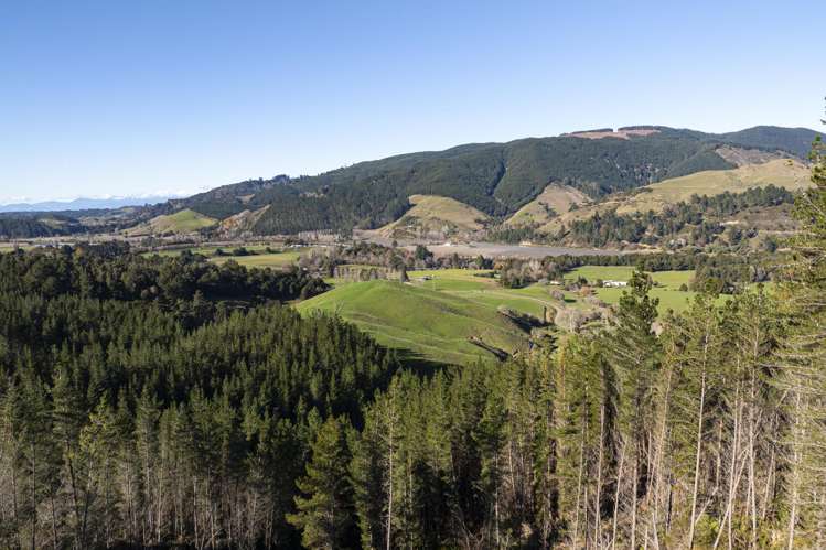 Graham Valley Road_4