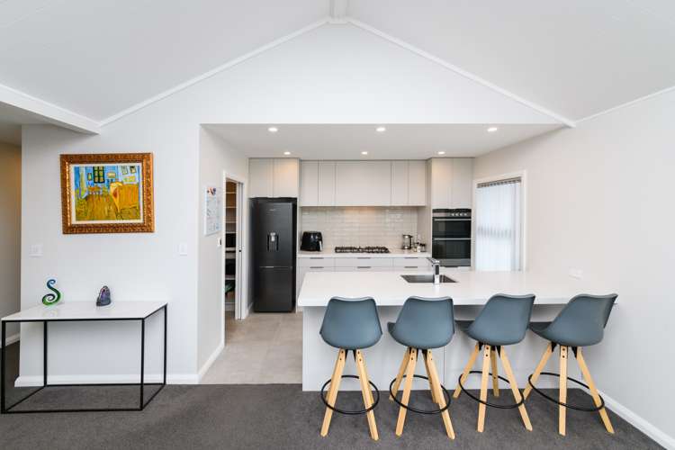 2a Massey Street Palmerston North Central_7