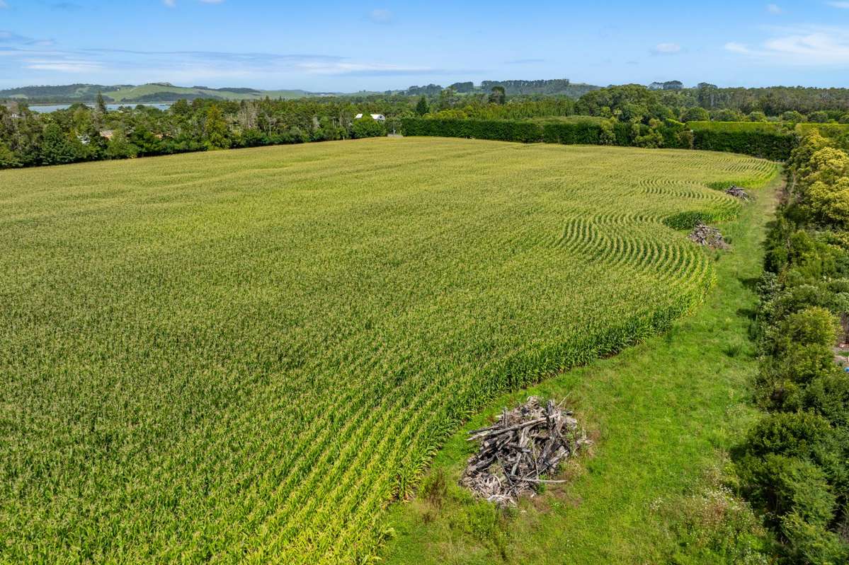 Lot LOT 5/DP160216 Omaha Flats Road_2