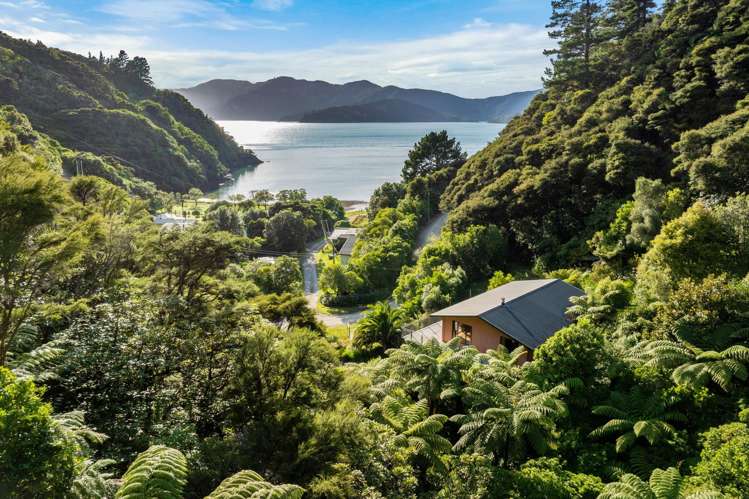 1818 Port Underwood Road Port Underwood_36