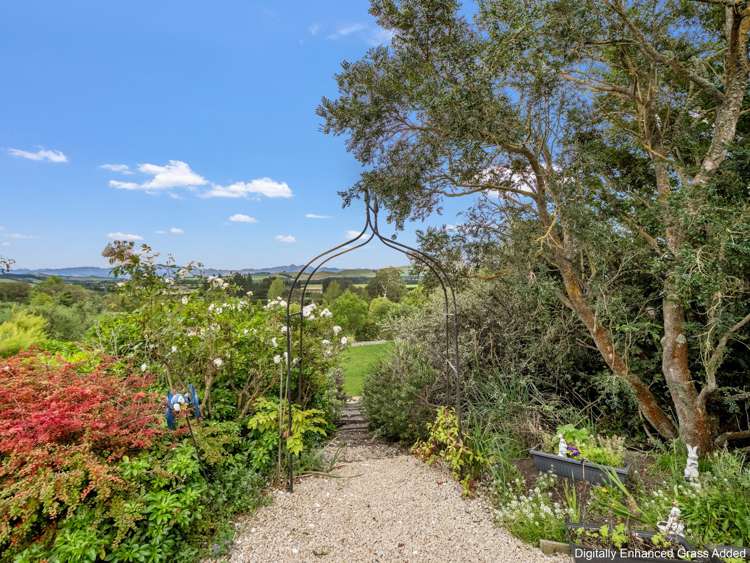 31 Kellaway Terrace Waikari_9