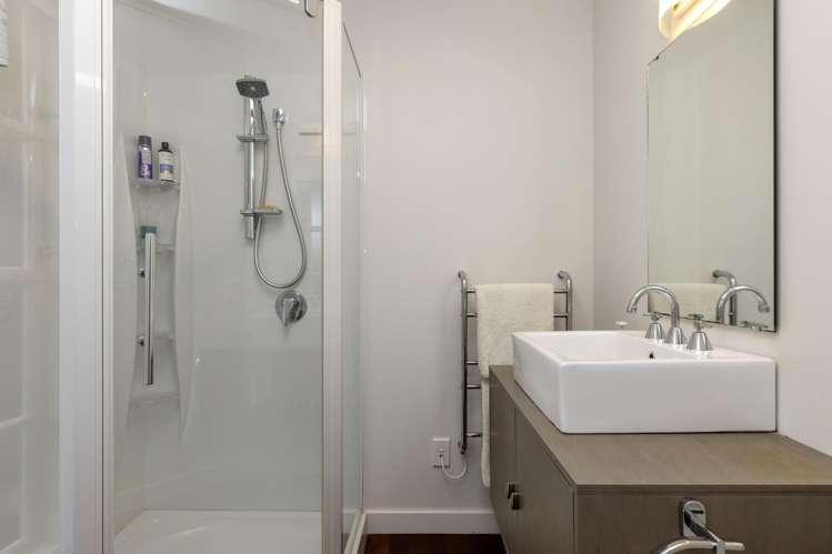 26 Kiwi Street Bird Area_16