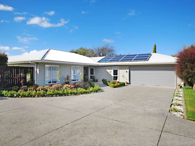 7 Francis Lane Masterton_19