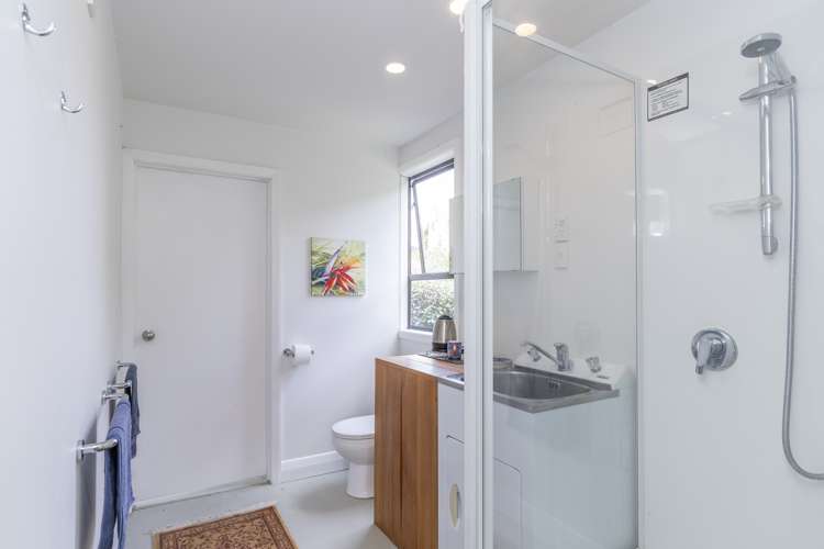 29 Tasman Avenue Mount Albert_18