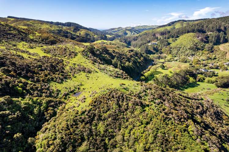 525A Makara Road Makara_15