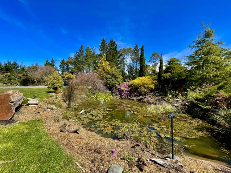 22 Reid Road Herbert_28