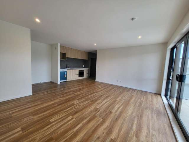 202/3 Newelm Lane Flat Bush_3