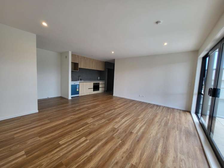 202/3 Newelm Lane Flat Bush_3