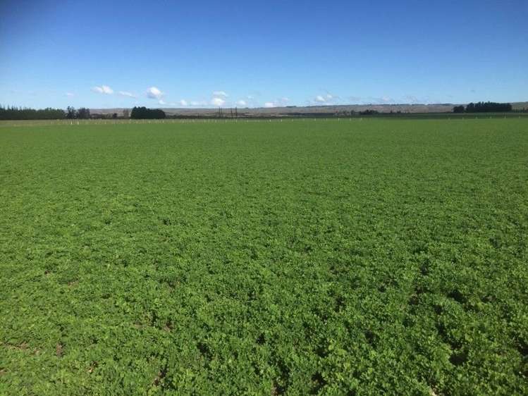 759 Gladbrook Road Middlemarch_0