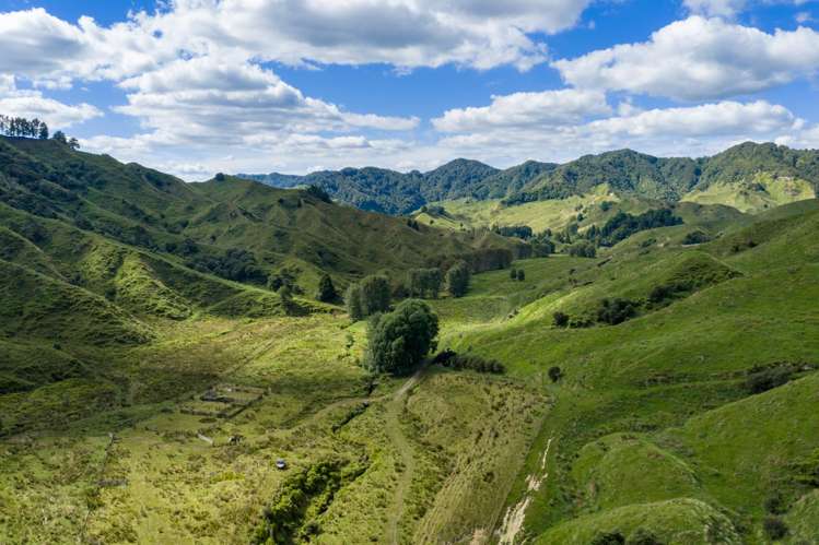 1221 Waitewhena Road Taumarunui_24