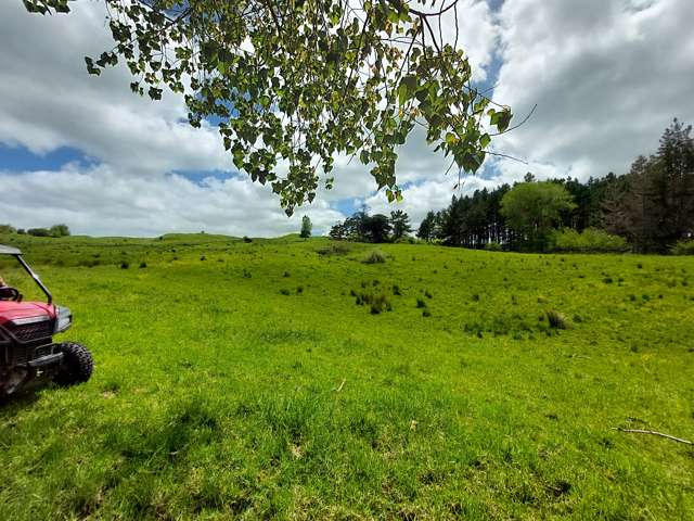 1500 State Highway 12 Paparoa_1