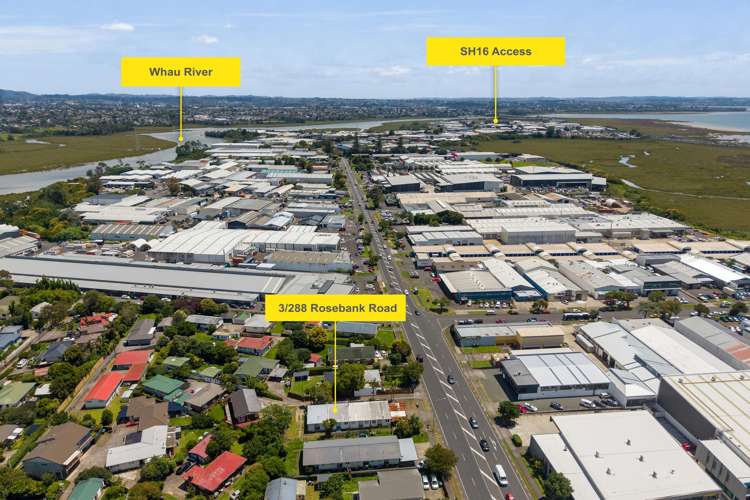 3/288 Rosebank Road Avondale_17