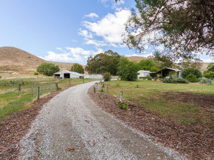 2464 Tarras-Cromwell Road Westland Surrounds_10