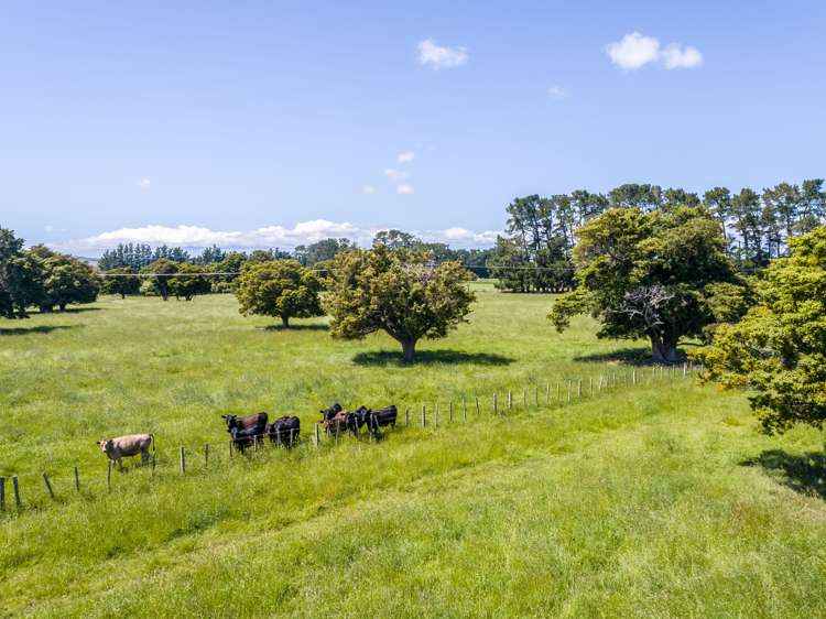 Humphries Street Greytown_11