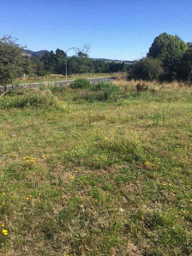 Arapuni Road Arapuni_4