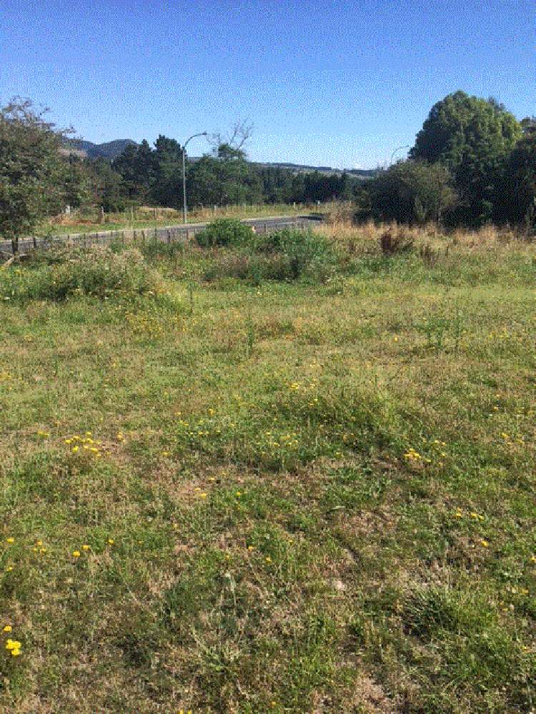 Arapuni Road Arapuni_4