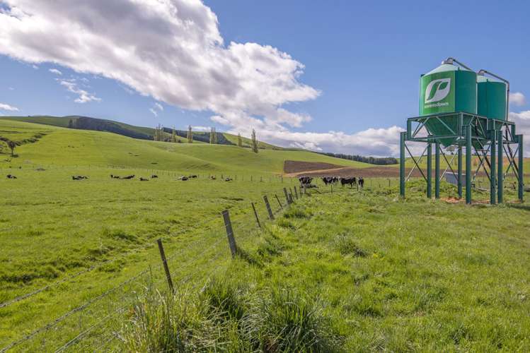 1537 Geraldine-Fairlie Highway Fairlie_7