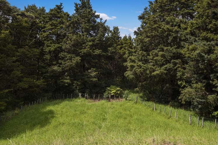 45 Kiwi Lane Kaiwaka_7