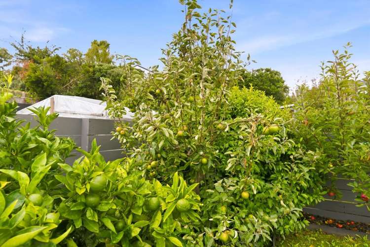 44 Tui Road West Raumati Beach_28