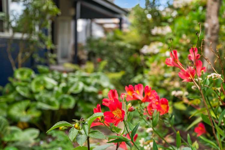 2080 State Highway 1 Hukerenui_19