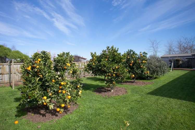 3/210 Aspin Road Cambridge_17