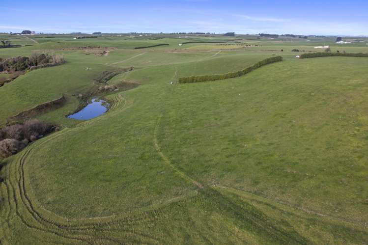 0n Skeet Road Te Roti_17