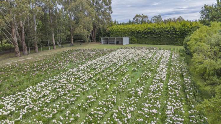 309 School Road West Eyreton_47