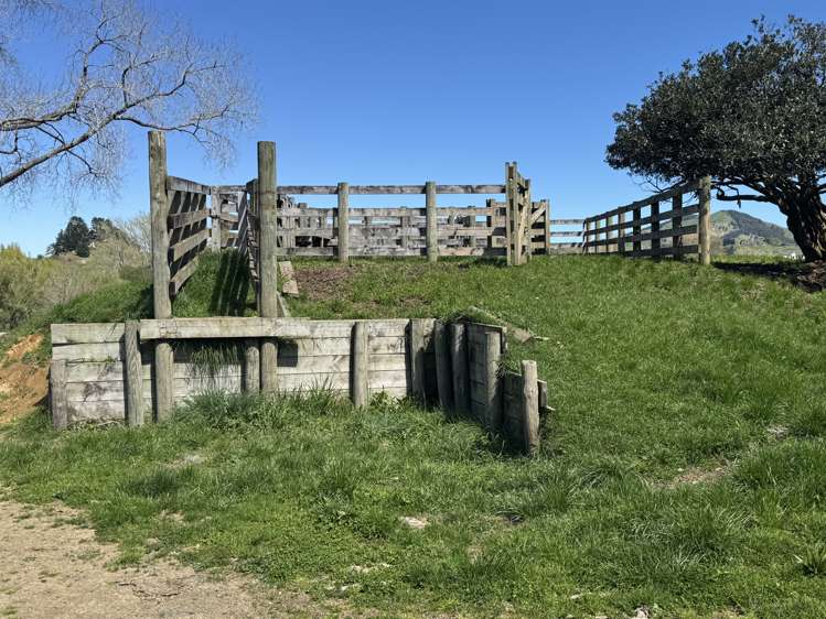 258 Wharepapa South Road Te Awamutu_13