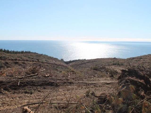 Shag Point Road Waitaki_1