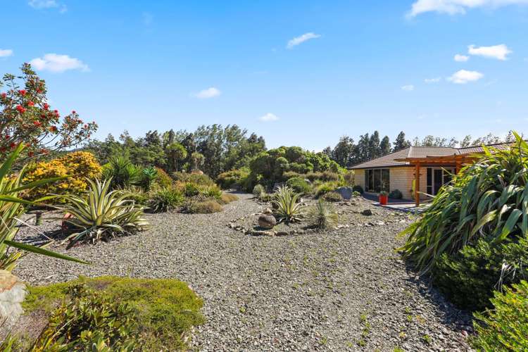 50 Pipitea Drive Rarangi_28