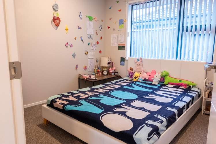 1 Monarch Drive Ashhurst_7