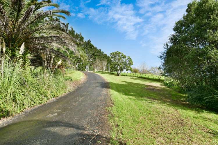 2442 South Head Road_1