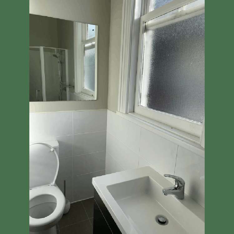 5 Devon Street Aro Valley_17