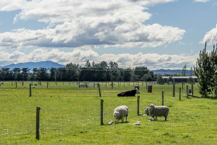 89 Bridge Road Fernside_24