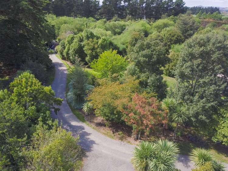 125 Norfolk Road Carterton_19